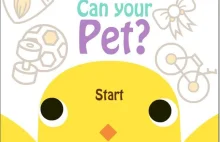 Can your pet? - nietuzinkowa gra