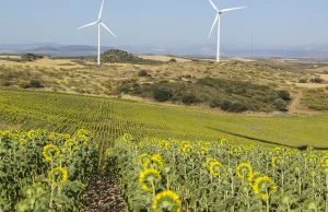 Jest problem z recyklingiem turbin wiatrowych w Niemczech