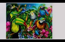 Ravensburger Tropical birds - Time-lapse made from Jigsaw puzzles