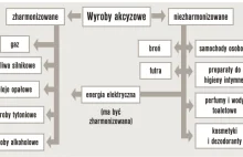 PRZESTĘPCZOŚĆ PODATKOWA W RAMACH WYBRANYCH OBSZARÓW - jak pożyczyć i nie...