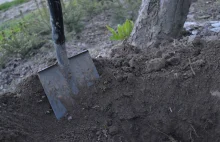 Noworodek zakopany w ogrodzie. Matka odzyskała wolność, nie usłyszała...