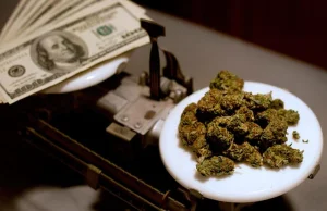 Ile kosztuje gram legalnej marihuany w USA?