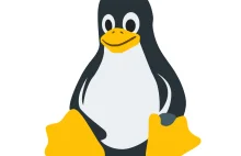 Długo wyczekiwany Linux 5.0 wydany!