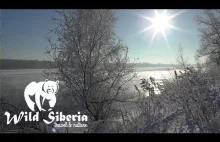 Zimny mroźny dzień nad rzeką syberyjską