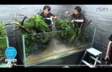 Wideorelacja z zakładania akwariów roślinnych w Tokio Skytree