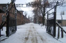 Wstydliwy Holocaust. Żydzi z Izraela nazywali tych, którzy przeżyli Auschwitz