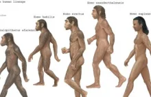 Dlaczego neandertalczyk wymarł, a my żyjemy?