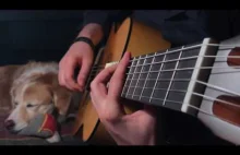 Motyw z The Last of Us zagrany na gitarze akustycznej.