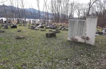 Wielka dewastacja na cmentarzu żydowskim. Wandale zniszczyli ponad 70...