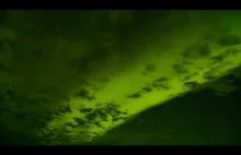 Zorza polarna czyli The Aurora Borealis