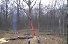 Wypadek przy ścinaniu gałęzi