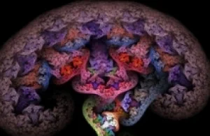 Jak rósł mózg człowieka: Ewolucja emocji.