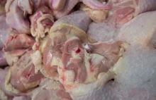 Kurczaki skażone fipronilem trafiły do Polski. Jest potwierdzenie