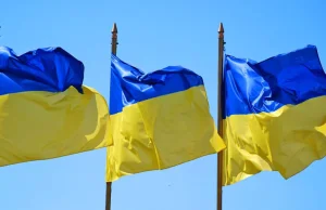 USA chce pomóc "wprowadzać demokrację" na Ukrainie