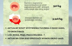 POLSKA, WIEPRZOWINA i ASF