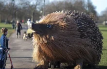 Gigantyczny jeż w Londynie [eng]