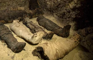 Archeolodzy odkryli starożytne grobowce. W środku było 50 mumii, 12 to dzieci