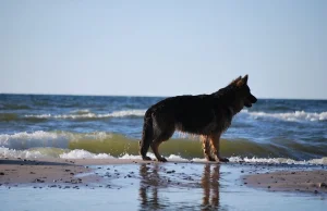 Piękne polskie morze - ciaglewpodrozy - bloog.pl