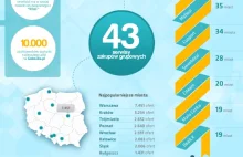 Jak przez ostatni rok rozwijały się w Polsce zakupy grupowe? [infografika]