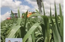 Zboża ochrona i prowadzenie łanu - Agroświat Internetowa Księgarnia...