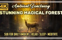 Ambience | Stunning Magical Forest | 4K UHD | 2 hours