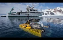 Nieznane życie tętniące w wodach Antarktyki