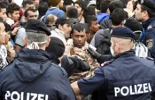 Niemiecka policja ukrywa przestępczość wśród imigrantów?