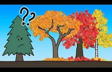 W jaki sposób drzewa zrzucają liście?