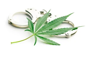 Legalizacja marihuany wpływa na zmniejszenie liczby przestępstw
