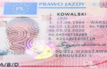 Prawo jazdy z Czech przez internet i bez egzaminu. Za 700 zł