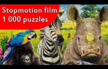 Jigsaw Puzzle - It's a Class Photo - Stopmotion film. BlockSanity