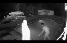 Para w basenie zaatakowana przez kajmana.