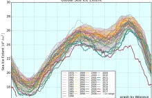 Powierzchnia morskiego lodu na świecie osiągnęła rekordowo niską wartość