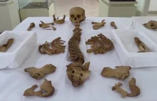 Szczątki zwierząt i człowieka przetrwały ponad tysiąc lat