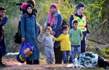 9 mało znanych faktów o kryzysie uchodźców w Europie - strona 2 - Polityka.pl