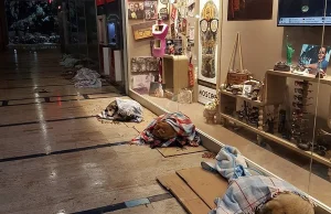 Wpuścili bezdomne psy do galerii handlowej, wszystko po to, żeby mogły...