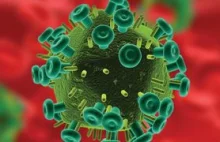 Mimo terapii wirus HIV nadal może być aktywny