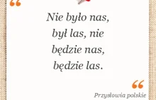 Przysłowie: Nie było nas, był las, nie będzie nas, będzie las.