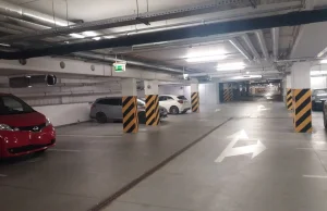 Polacy mistrzami parkowania. Stawiają auta na trawnikach, a parkingi...