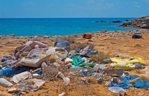 PE chce wycofania jednorazowych plastikowych produktów od 2021 r.