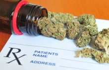 Ankieta na temat medycznej marihuany - Z URZĘDU