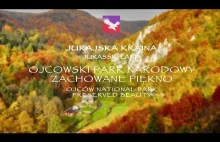 Niesamowity film z Polski - lepszy niż BBC!