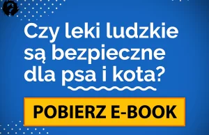 Czy leki ludzkie są bezpieczne dla psa i kota?