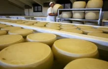 Produkcja podróbek parmezanu wyższa od ilości oryginalnego sera
