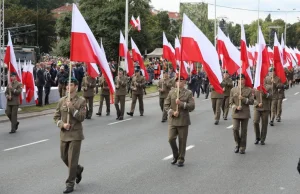 Rosyjskie trolle ponownie wzięły na cel Wojsko Polskie