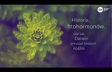 Historia fitohormonów, czyli jak Darwin poruszył światem roślin