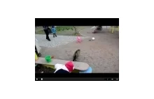 Kot zaczepno-obronny z Rosji vs. pies
