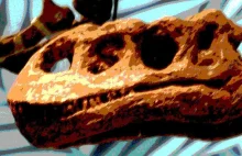 Odkryto tkanki miękkie dinozaura sprzed 195 mln lat!