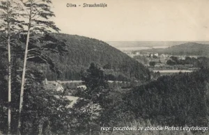 Historia budowy gdańskiego ZOO