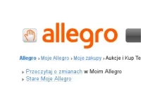 Raty na Allegro na celowniku UOKiK
